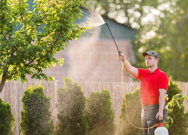 google ads for pest control